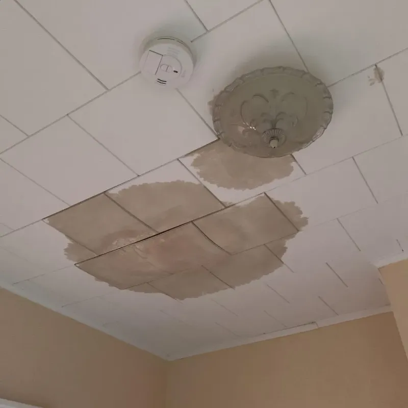 Ceiling Water Damage Repair in Shelley, ID