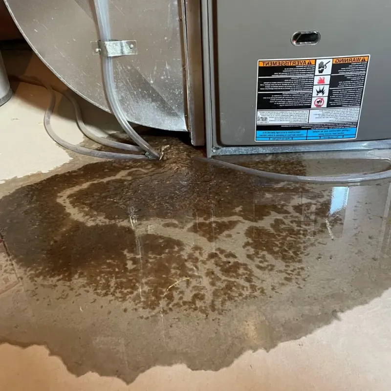 Pipe Burst and Leak Restoration in Shelley, ID